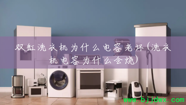 ˫ϴ»Ϊʲôϻ(ϴ»Ϊʲô)