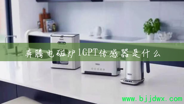 ڵ¯lGPTʲô