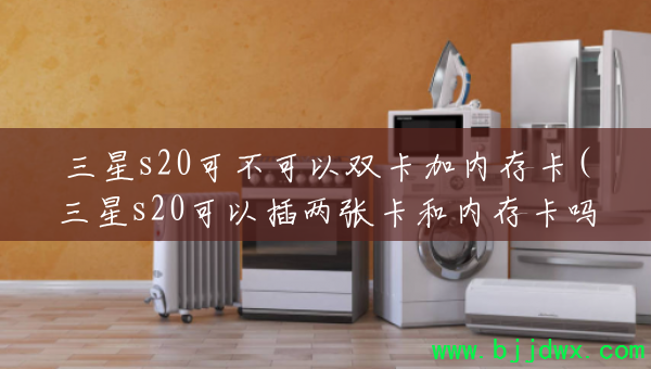 s20ɲ˫ڴ濨(s20Բſڴ濨)