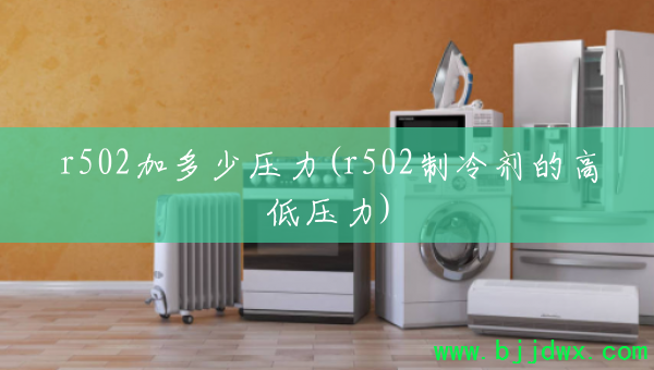 r502Ӷѹ(r502ĸߵѹ)