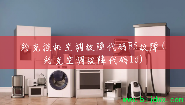 Լ˹һյϴE5(Լ˿յϴ1d)
