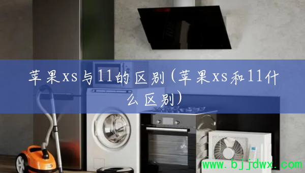 ƻxs11(ƻxs11ʲô)