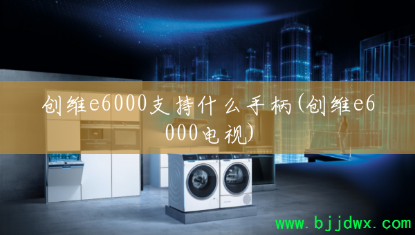 άe6000֧ʲôֱ(άe6000)