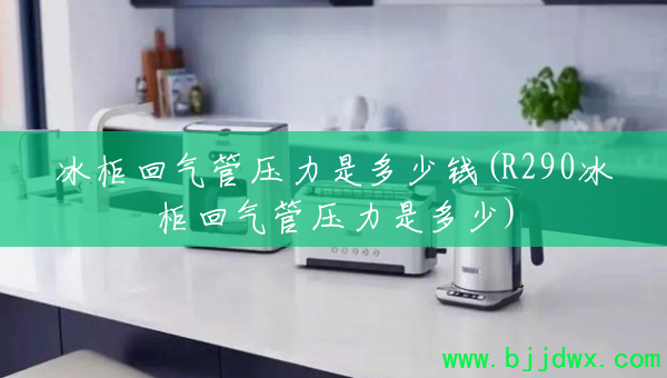 ѹǶǮ(R290ѹǶ)