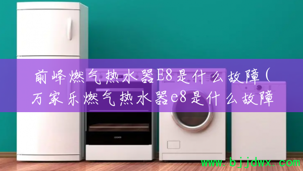 ǰȼˮE8ʲô(ȼˮe8ʲô)