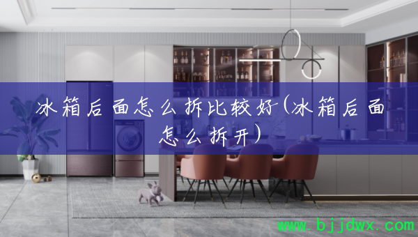 冰箱后面怎么拆比较好(冰箱后面怎么拆开)
