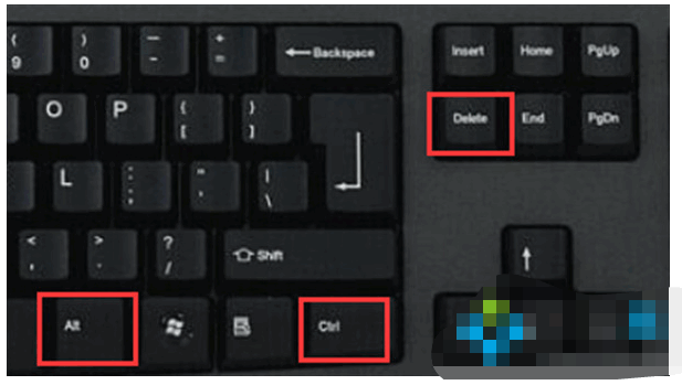 075608zflg6e8pph3ehul3.png