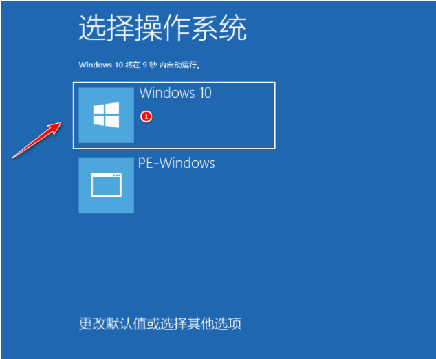 080058whst6x7a8cnzntnq.png