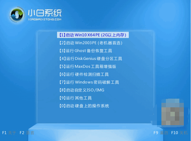 080736q3zmnfdvft998vm8.png