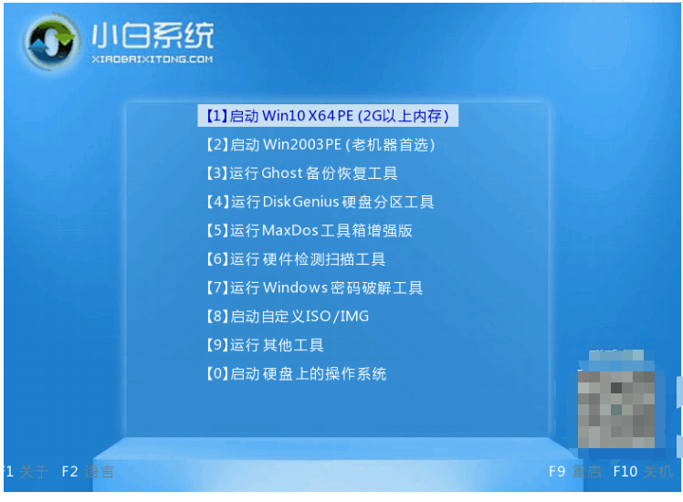 080829w28lwj1xe8eeez81.png