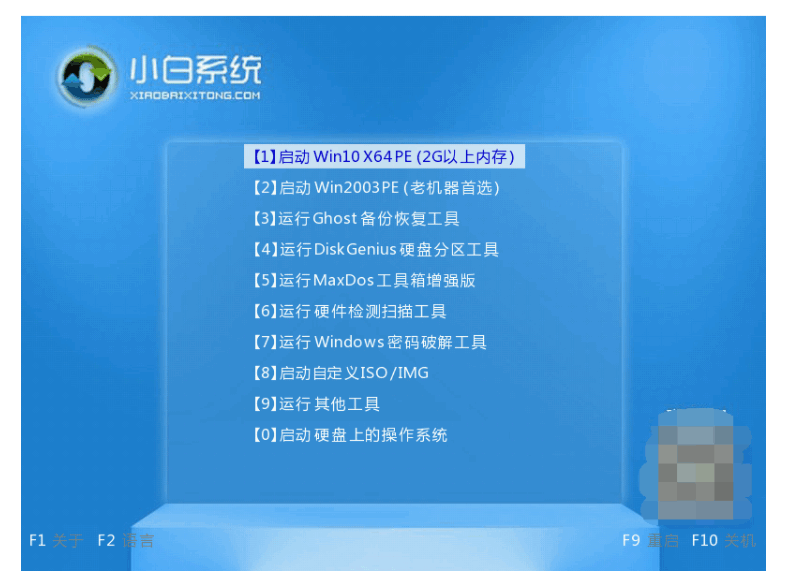 080921yq7qtswwqgq33qxq.png