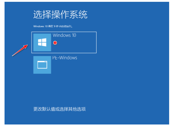 081026hjz41q1eeqten314.png