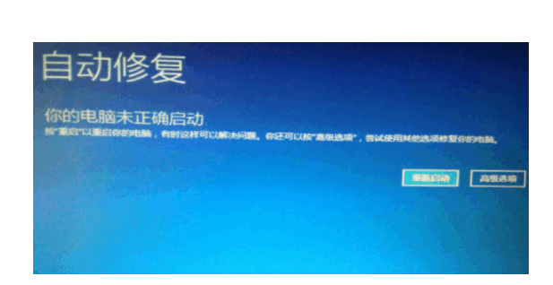 120403bnb68s8bogta6o6q.png