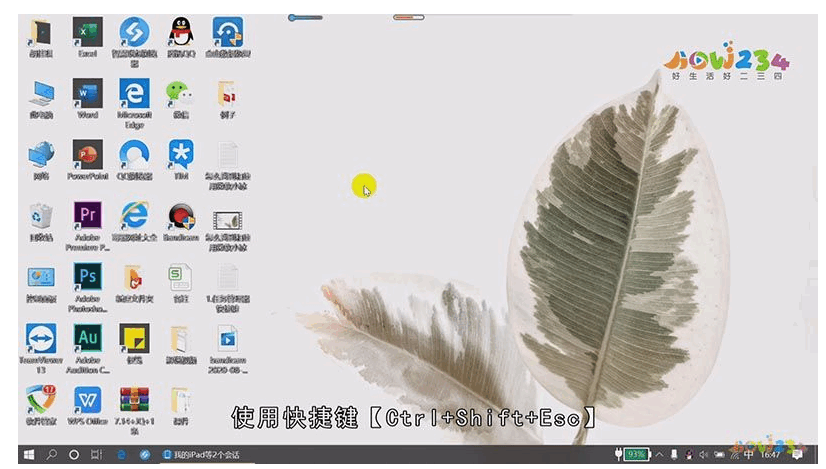 122453pug55q2oz252oq0k.png
