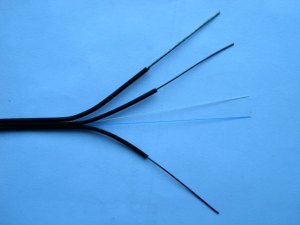 180031uc7g7vyj7jkg27j4.png