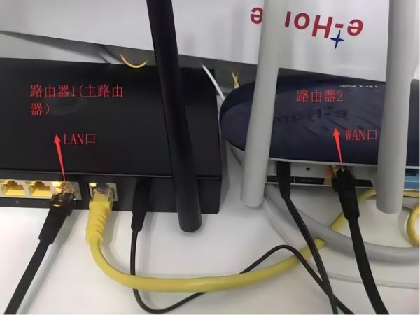 222432mw2qplq8yltxaq7l.png