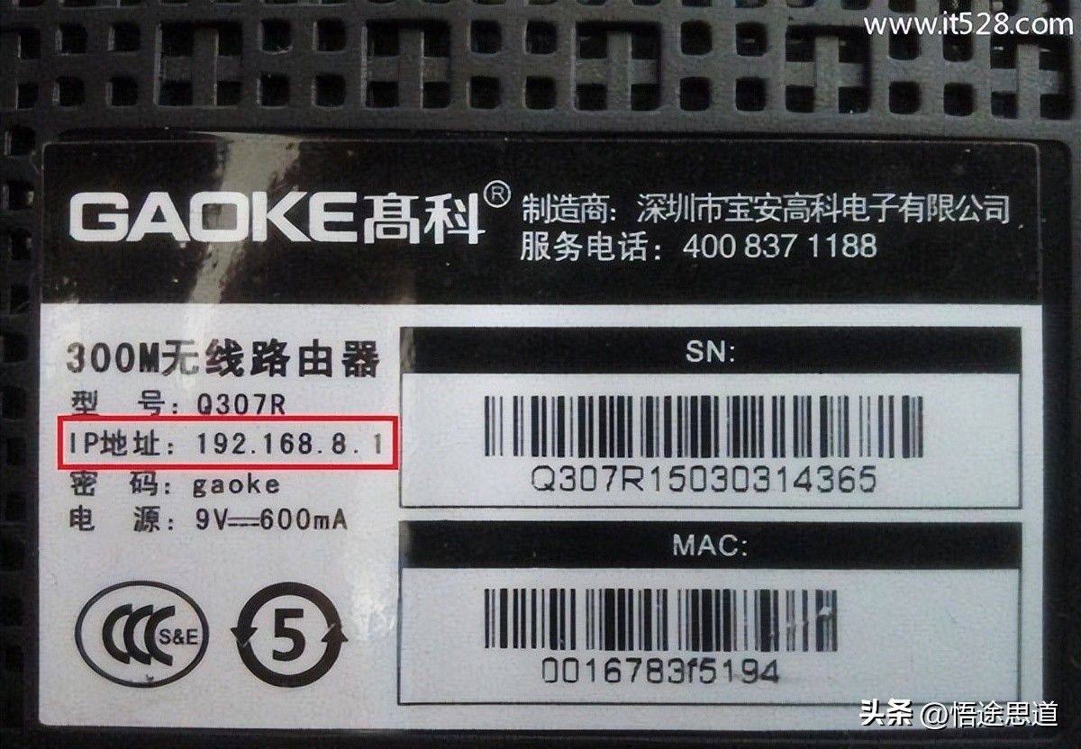 000939onfd6y6mf4m9znzd.jpg