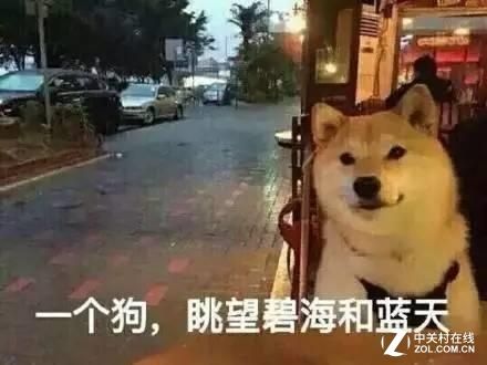 003103zdbdjhhkjh3hhb3y.jpg