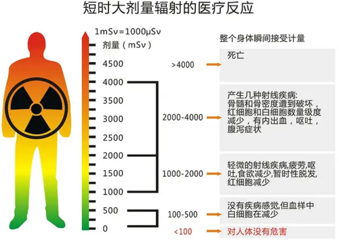 004750cb3dxwtdzt55lyxl.png