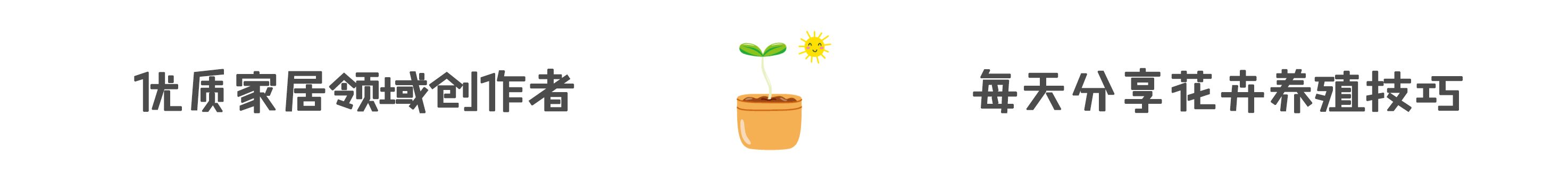 030348uaa4h4xw46wwpxh0.gif