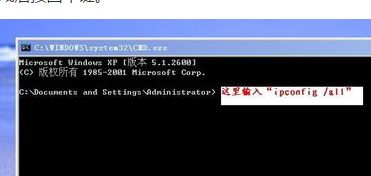 044812tp0zpsddolpds4pu.png