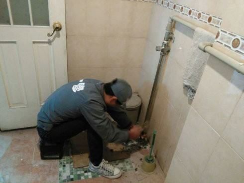 050119dnivl3p6p6nl6znn.jpg