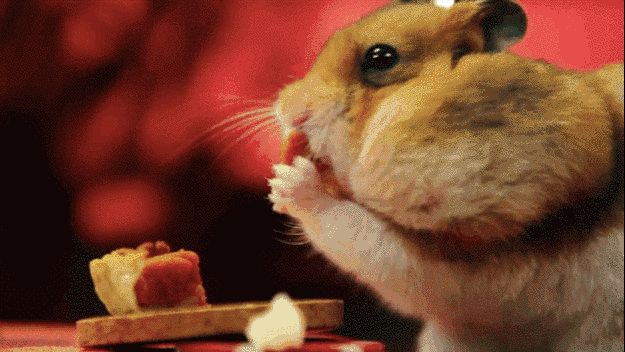 054318gugbblbbw17bo986.gif