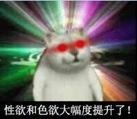 055249vhohi89hkpf27y97.jpg