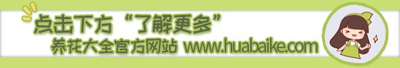 225440pbpzgobcconxeccl.jpg