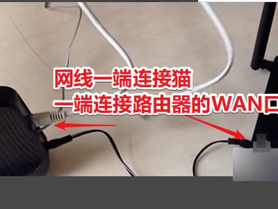 234521d8101dmmg2ip6ai0.png