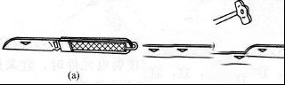 204614rs8put28qjull028.jpg