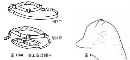 210217n7b8a2fda30tl041.jpg
