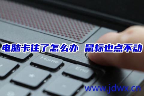 172608smgdeg4gwygpg455.jpeg