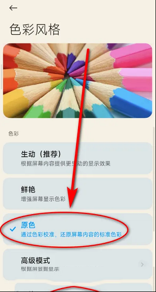 171048mzv2etmzsxpvpkvs.png