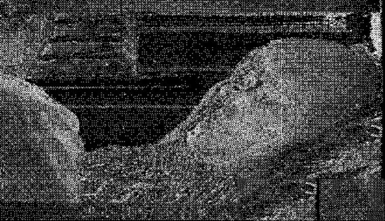 081341mb5vxb7grdcgmb95.jpg