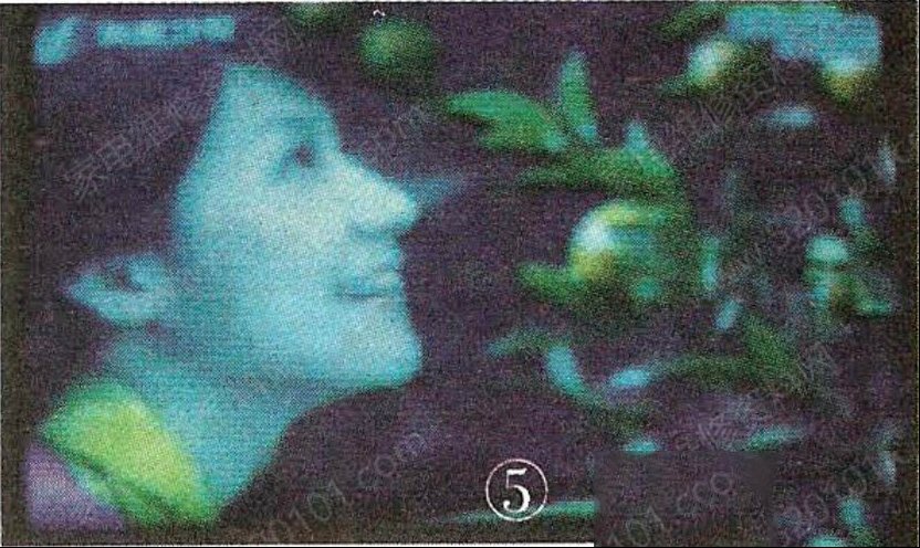 114002sz2qartezoqn7anw.jpg
