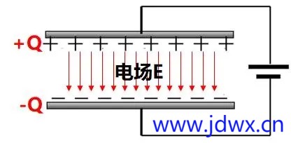 2.webp.jpg