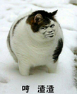 ad949a9e063a302434f82a15121b9a27.png