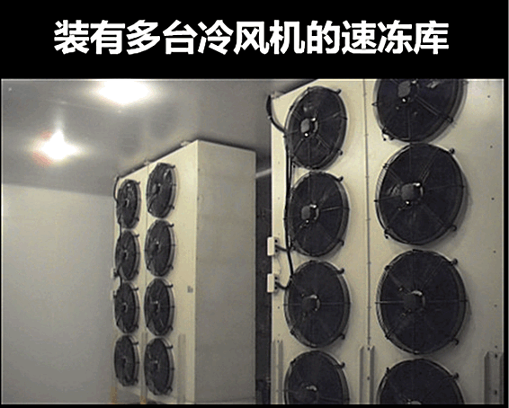 QQ图片20230812064056_副本.png
