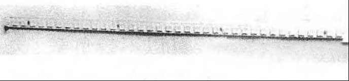 125133wz9mglrbkbnbhjmg.jpg