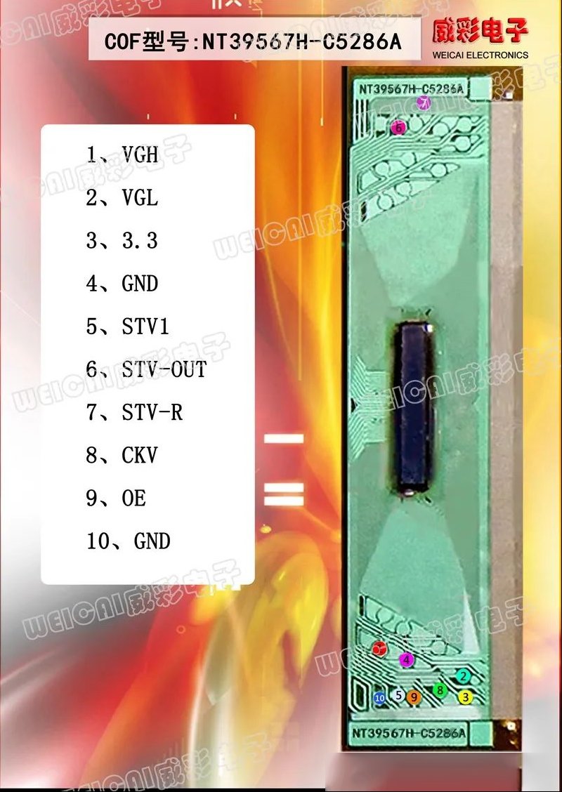 64.jpg