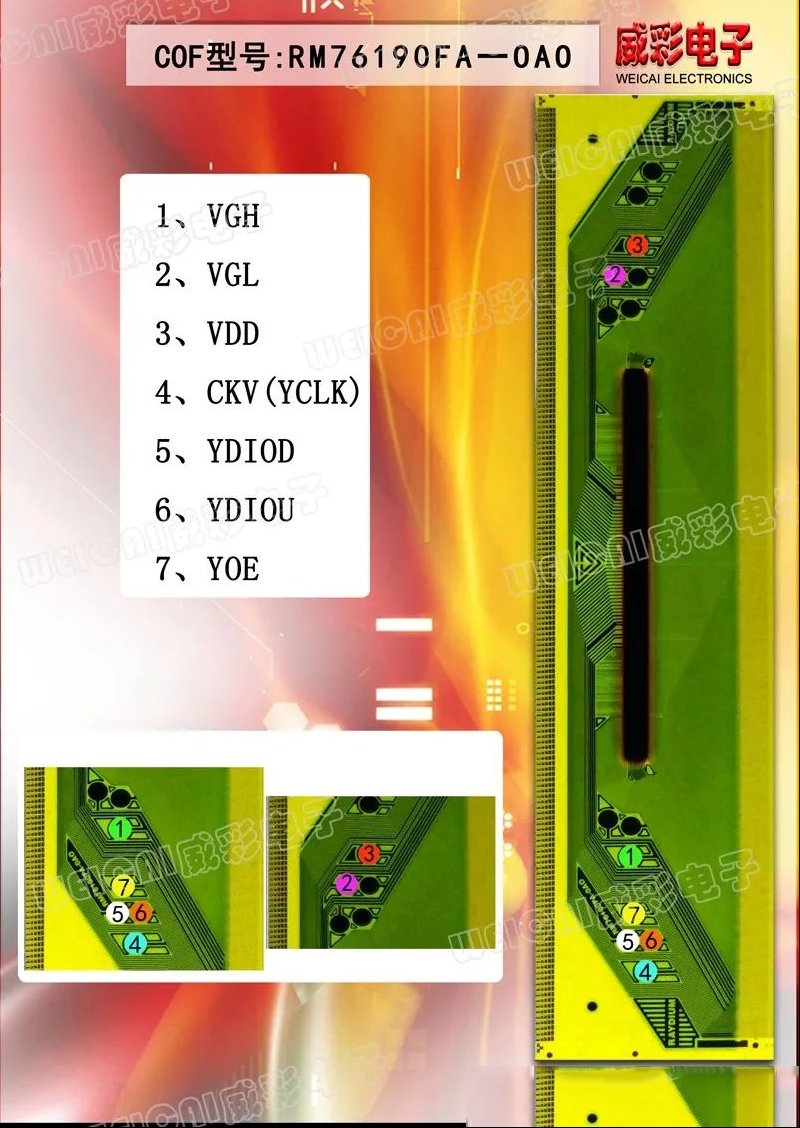 81.jpg