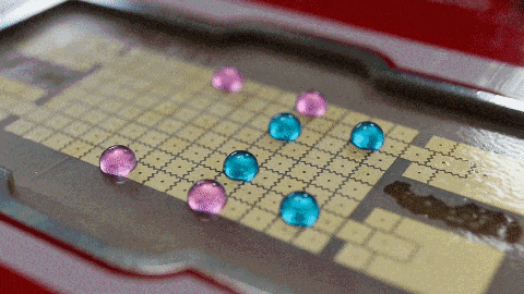 ea7fa0e493e9b18225dedf9e13ac85cc.gif