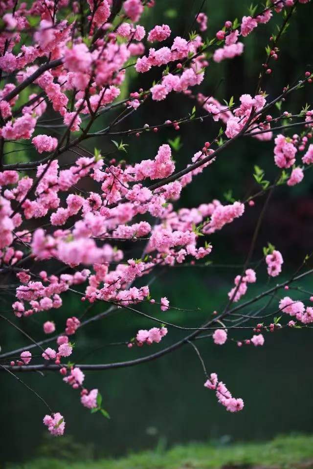 微信图片_20240305224420.jpg