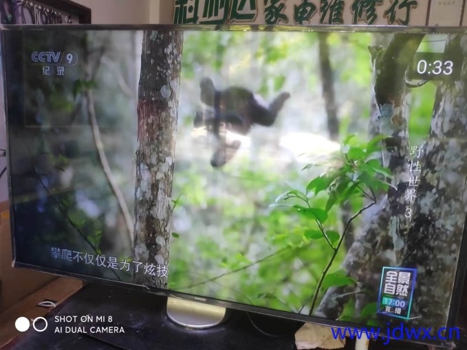 微信图片_20240703141118.jpg