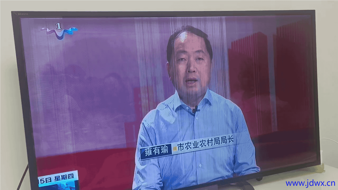 图片压缩 (1).png