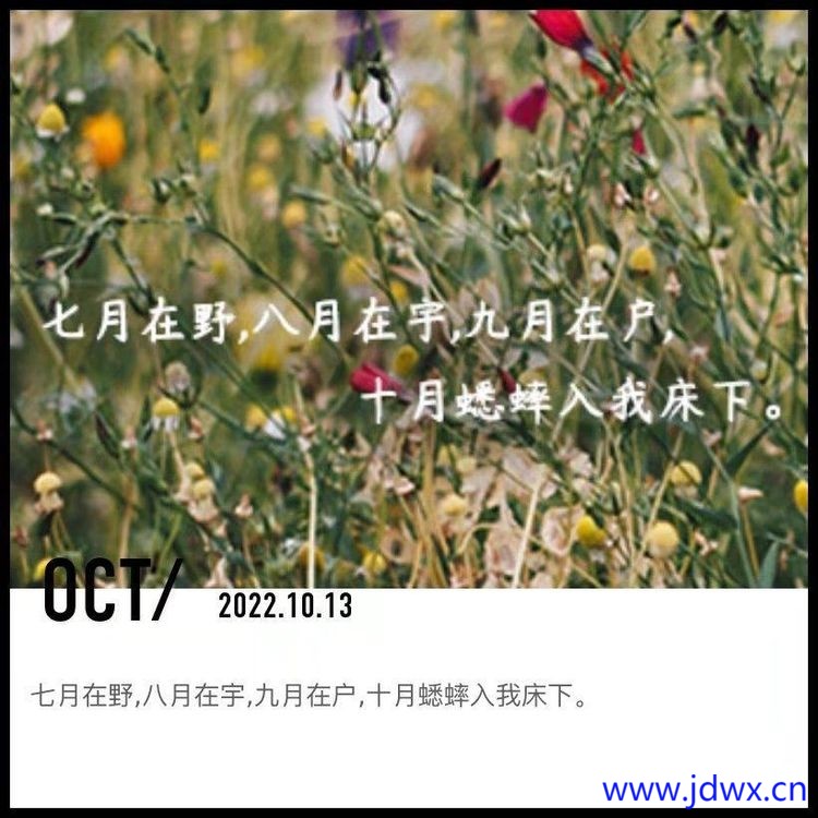 dc89577bc71bfef8a702703f9e222f4a.jpg