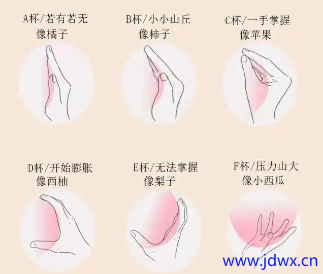 屏幕截图 2024-10-31 113327.png