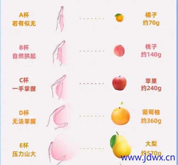 屏幕截图 2024-10-31 113403.png