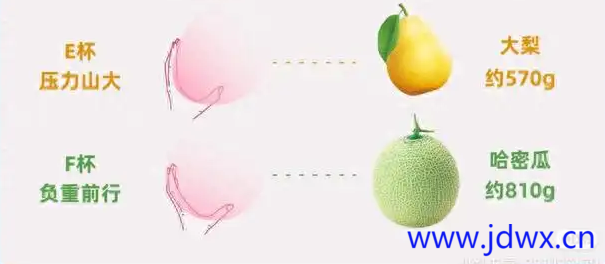 屏幕截图 2024-10-31 113438.png